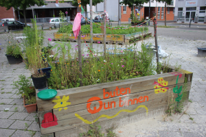 Ein Stadtgarten in der Neustadt: Der Lucie-Flechtmann-Platz hat sich zu einem beliebten Treffpunkt entwickelt